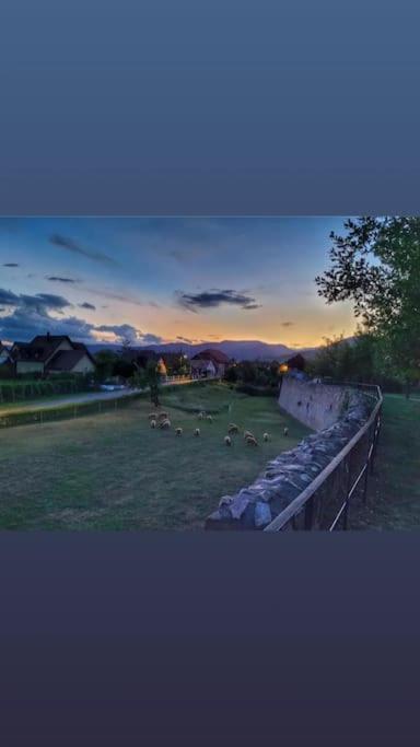 Gite Boniface Pour 2 Pers เบิร์กไฮม์ ภายนอก รูปภาพ